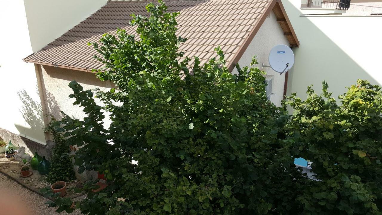 B&B In Sabina Poggio Nativo Eksteriør bilde